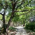 Campeggio Parc Saint Sauvayre
